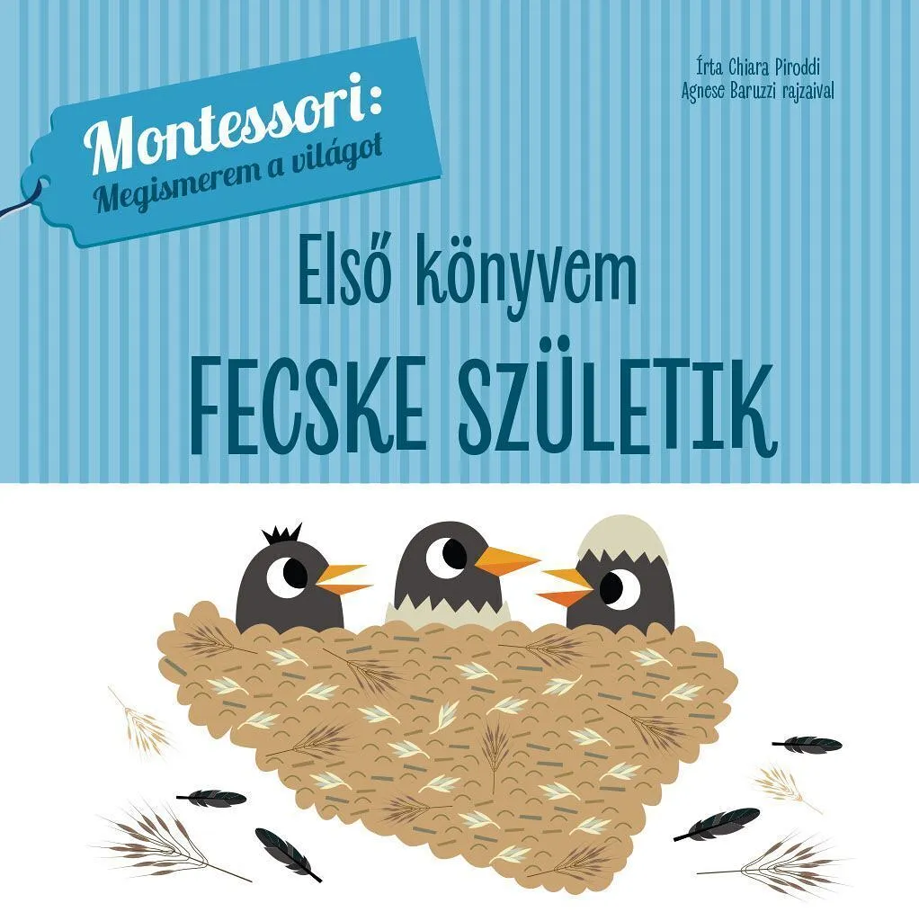 fecskeborb1_cover.jpg