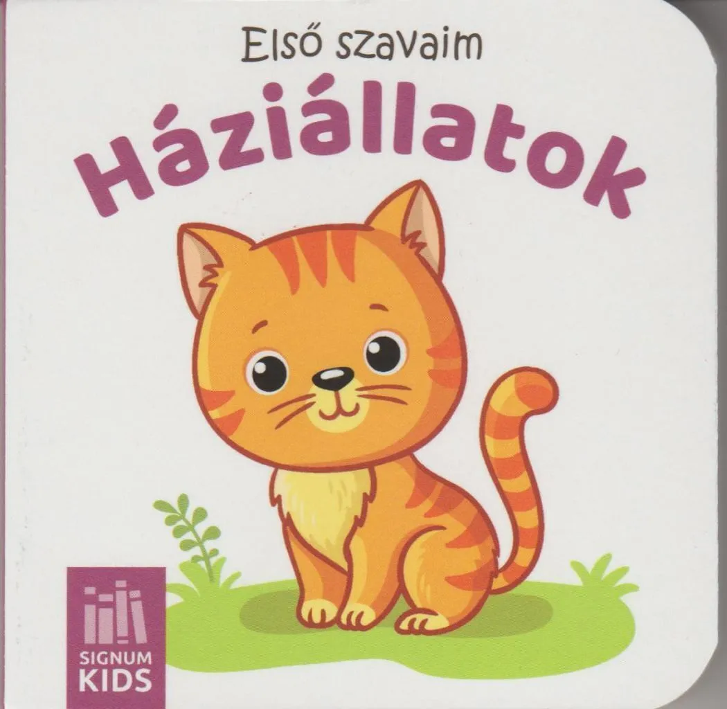 x8opjjpwx7brysicp87k1rzn6426rv1oefzwgbpz_cover.jpeg