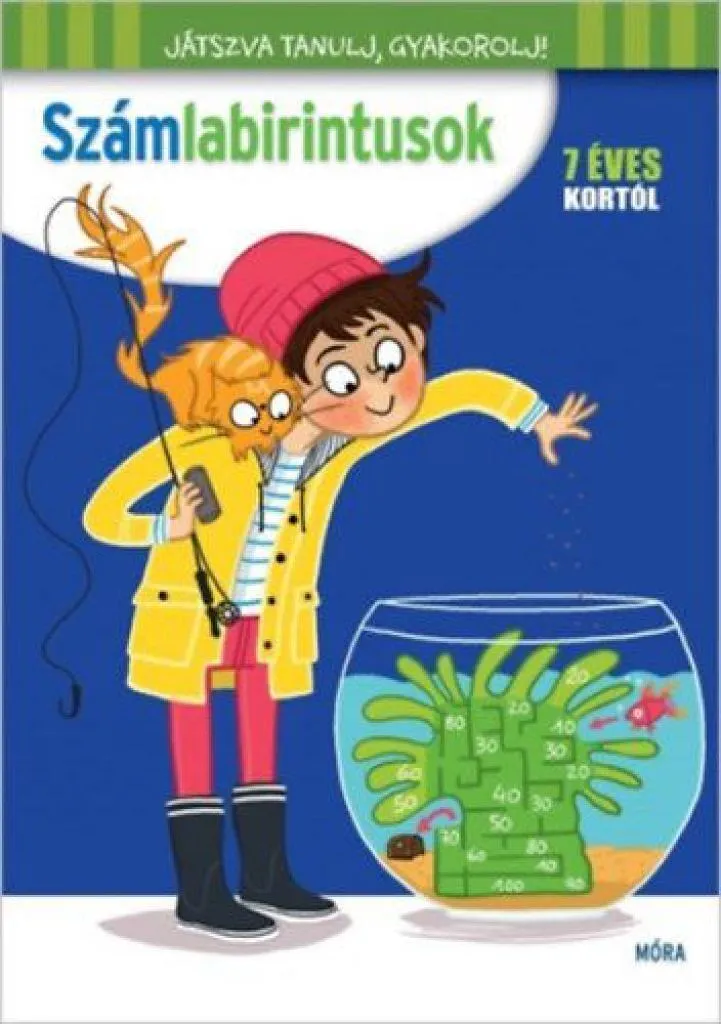 szamlabirintusok_cover.JPG