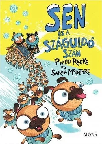 sen_es_a_szaguldo_szan.jpg