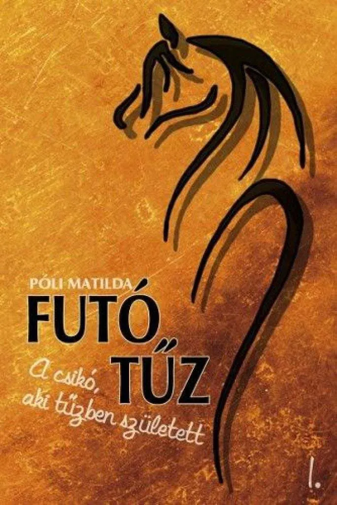 fnix_1_borito_cover.jpg