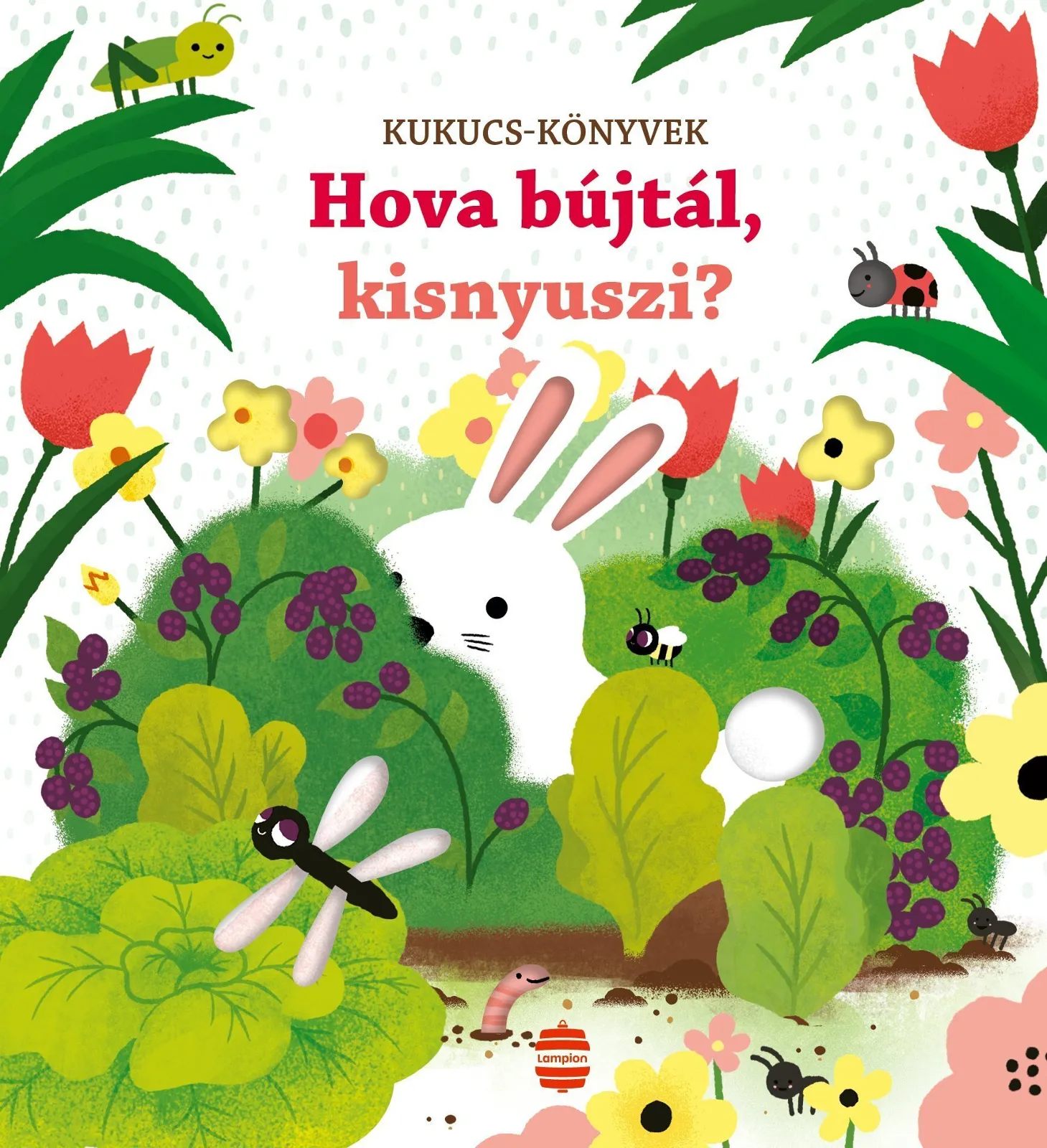 hova_bujtal_kisnyuszi_b1_nagy_felb_lampion_2023.jpg