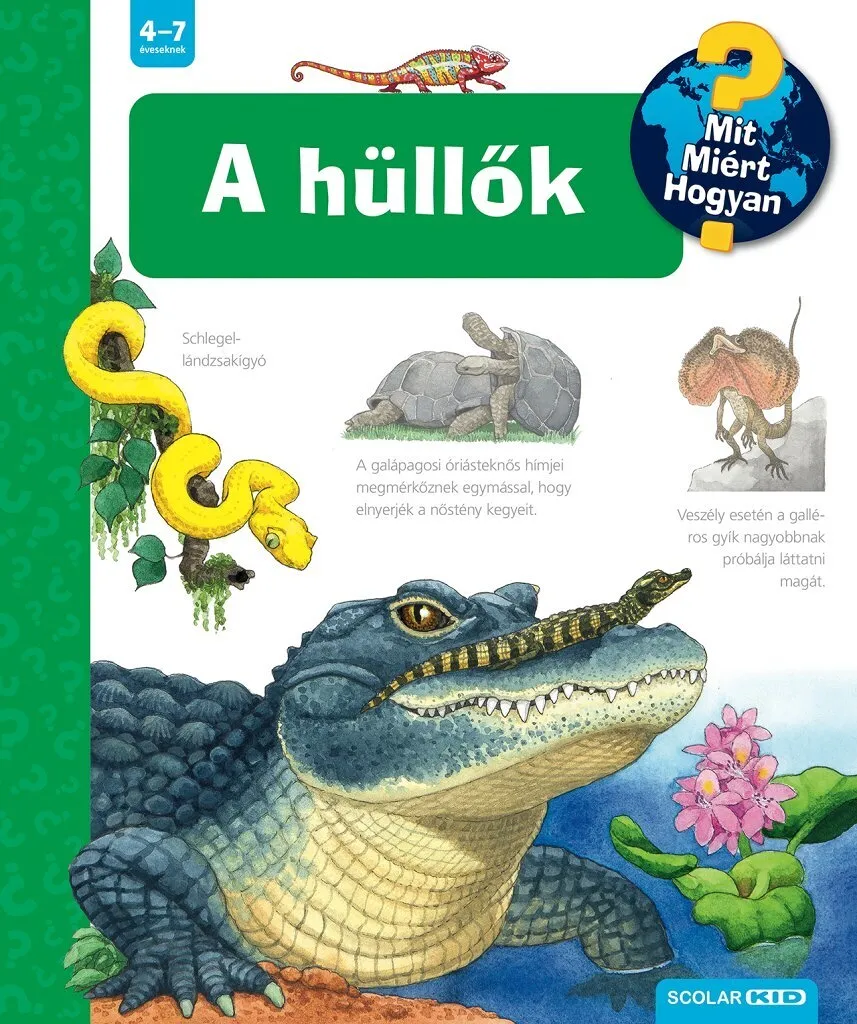 4817061.jpg